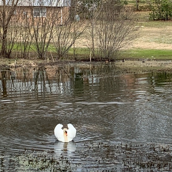 Meet your Posher, Tammy - Picture 5 of 8